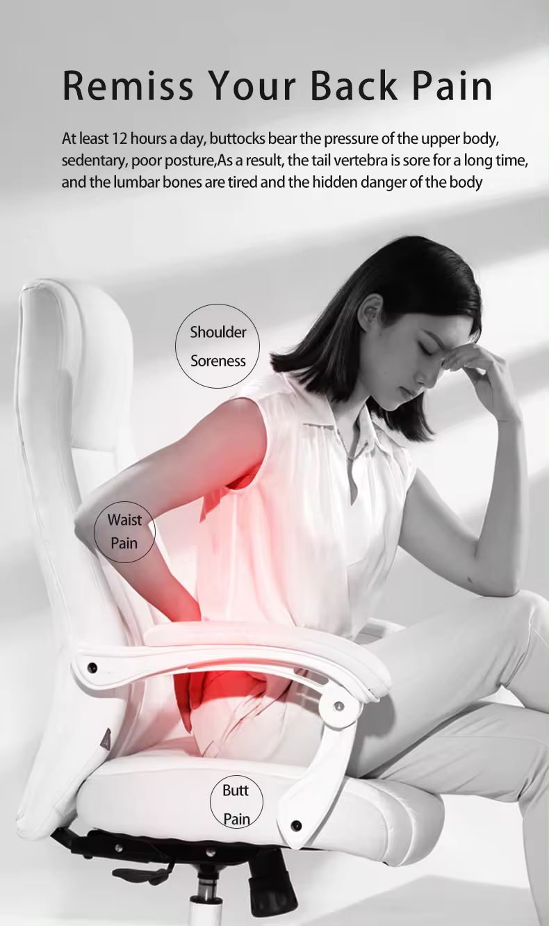 Back Cushions: Designed for Ergonomic Support and Pain Relief(图2)